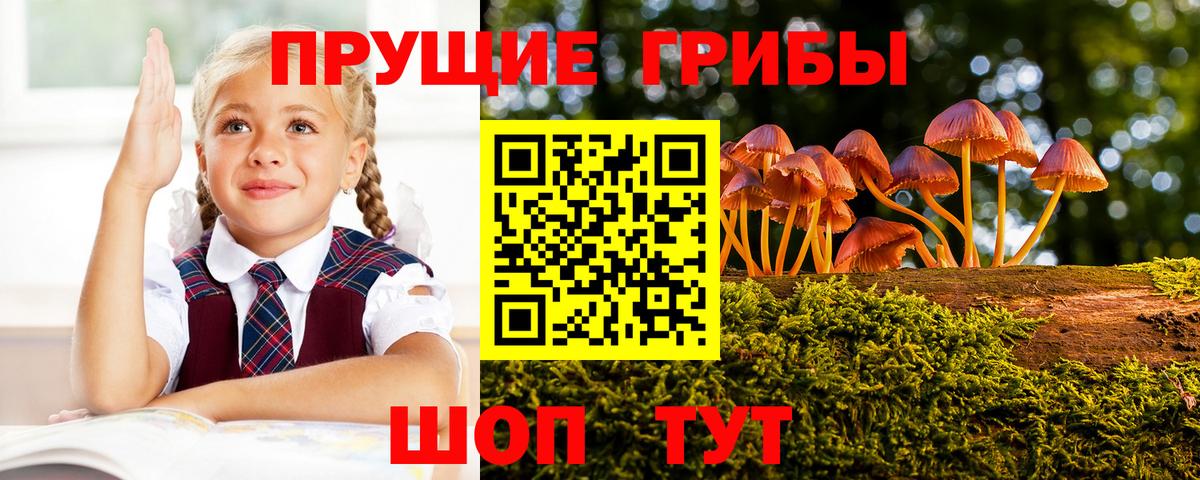 Псилоцибиновые грибы ЛСД Электросталь