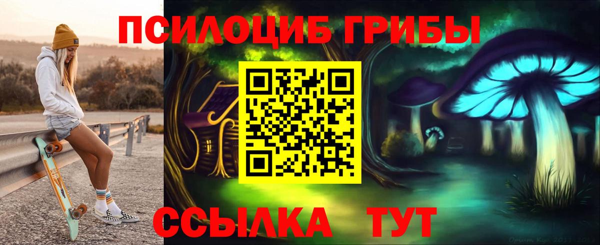 Электросталь  Галлюциногенные грибы Cubensis  Вход с VPN 